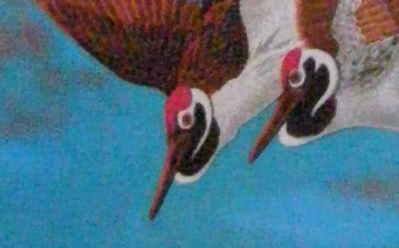 Robert Saxton, Poetry Website 