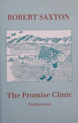 The Promise Clinic by Robert Saxton
